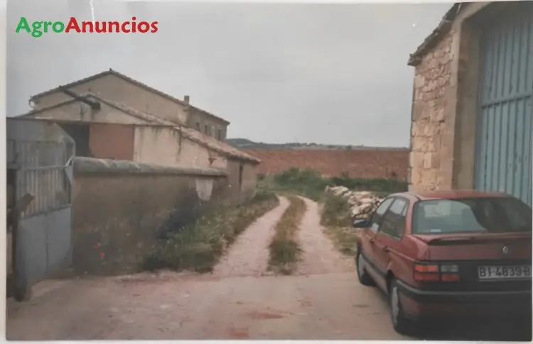 Venta  de Fincas de secano con casa y naves en Burgos