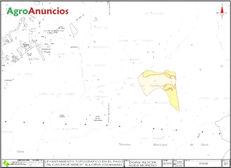 Venta  de Finca de olivos en Granada