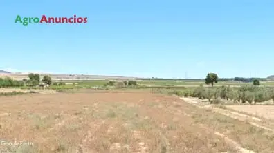 Venta  de Finca agrícola con vivienda a restaurar en Albacete