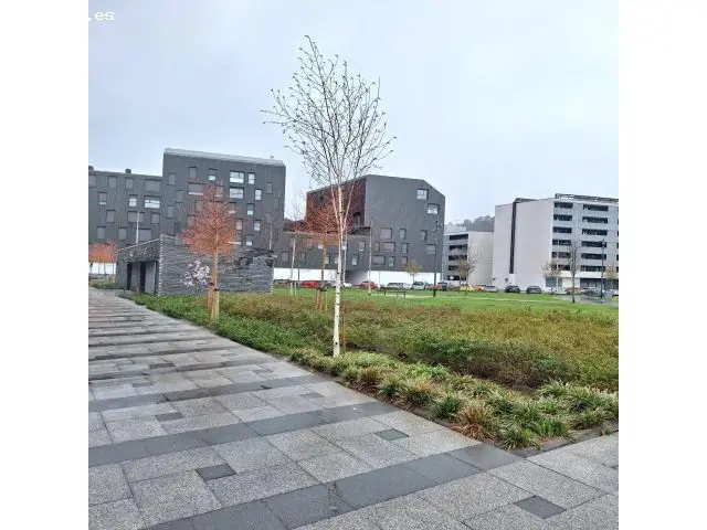 Piso Centrico Mieres 2 Dormitorios 53m2 Reforma Parcial