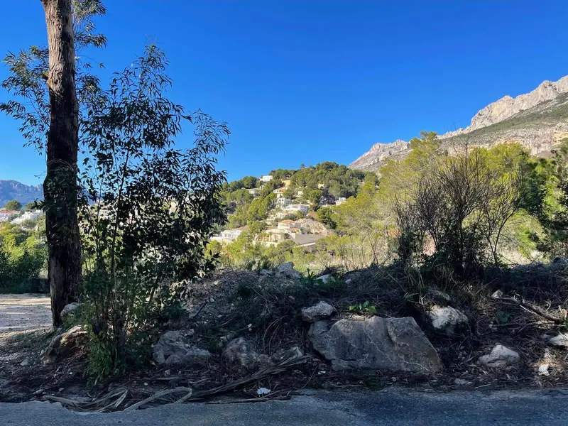 Terreno en Venta Altea  Montaña Vistas