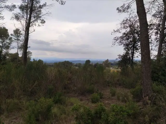Finca R	Ustica en Venta en Vilopriu Girona