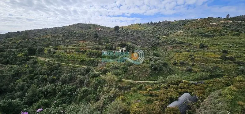 Venta de Dos Casas en Torrox con Naves Agricolas y Arboles Frutales