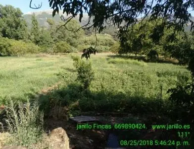 Parcela de Regadío en Cortes de la Frontera Málaga
