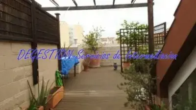 Atico Duplex Linares Centro Piscina Jacuzzi 200m2