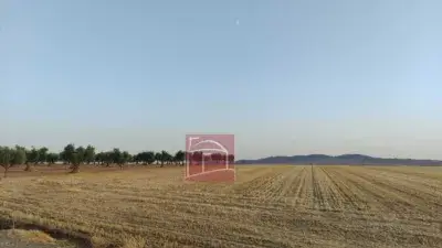 Finca rústica en venta en Villanueva de La Serena