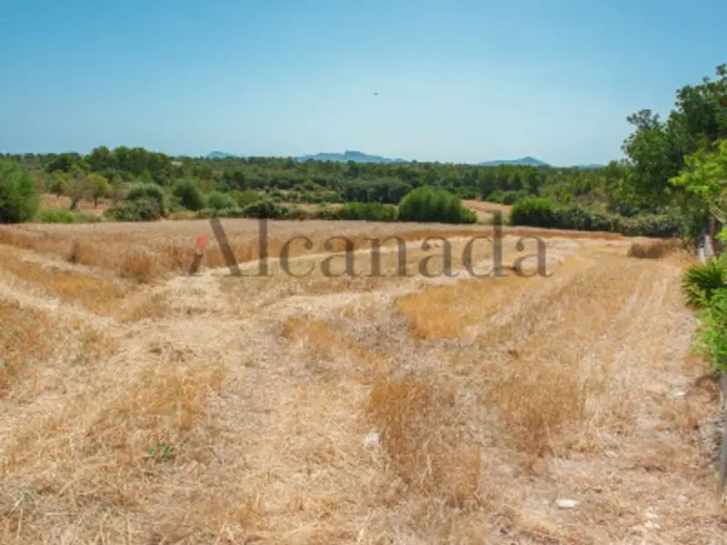 venta Terreno en Santa Margalida, Balears (Illes) (TEJ-XC0036)- Globaliza