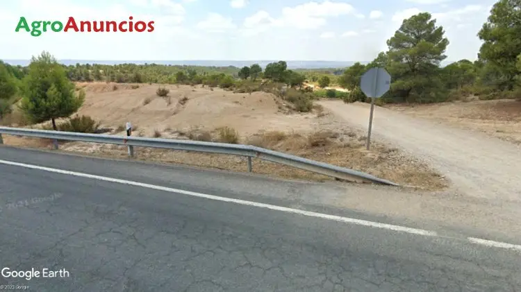 Venta  de Finca de viñas y almendros en Valencia