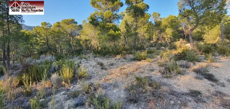 Venta Parcela Rustica Finestrat 19000m2 Vistas Montaña