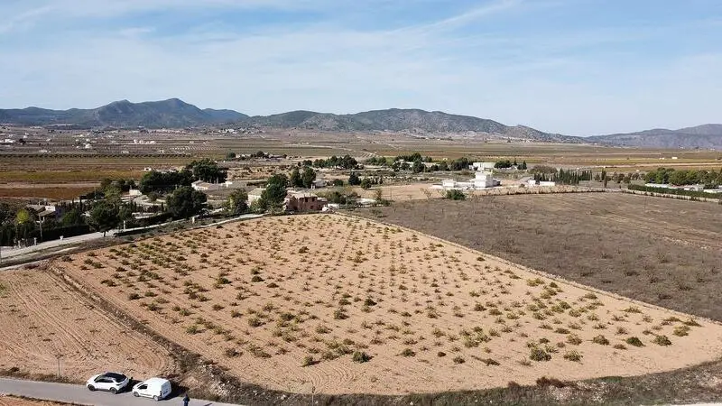 Terreno Edificable en Pinoso Alicante 10000m2 Vistas Montaña