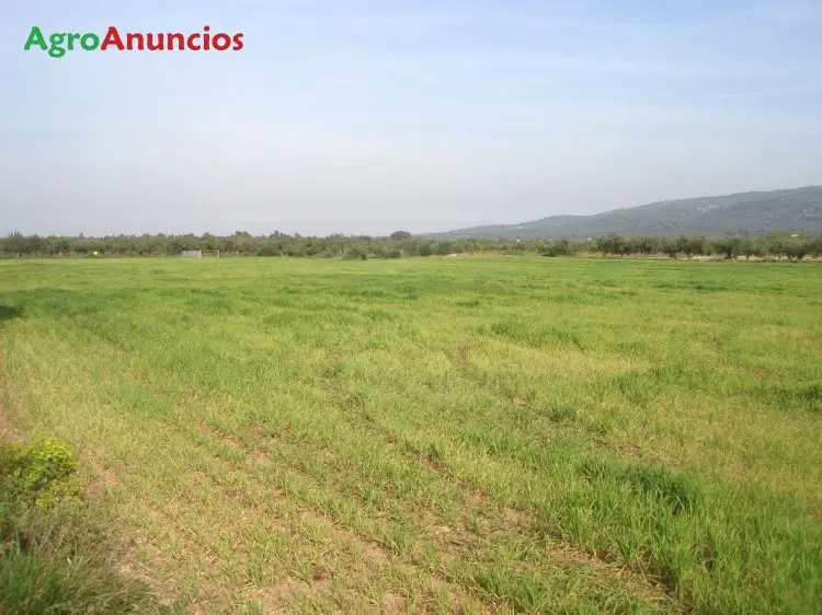 Venta  de Finca de recreo en Tarragona