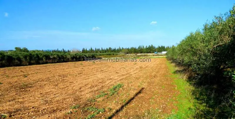 Finca Rustica en Venta Vilanova i La Geltru