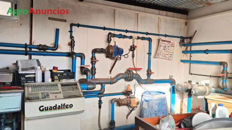 Venta  de Cortijo con invernadero en Granada