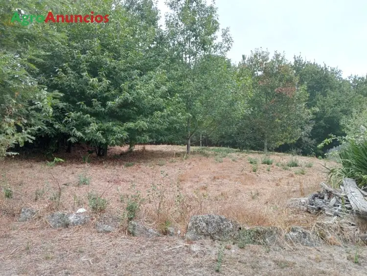 Venta  de Finca urbana en Ourense