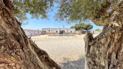 Chalet en venta en Calle Carretera Partida Cuadra Nueva 1C, Número 1C