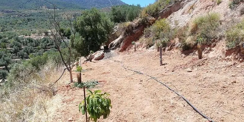 Finca con Vistas al Embalse de Beznar El Pinar Granada