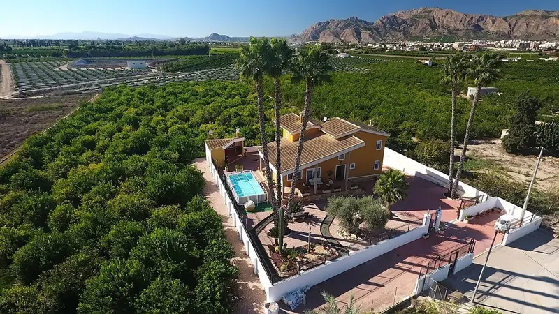 Casa 4 Dormitorios Orihuela: Piscina, Jardín, Huerta Limoneros