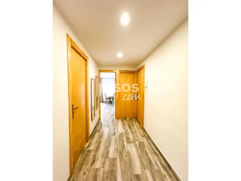 Alquiler Habitaciones Amuebladas Elche Centro