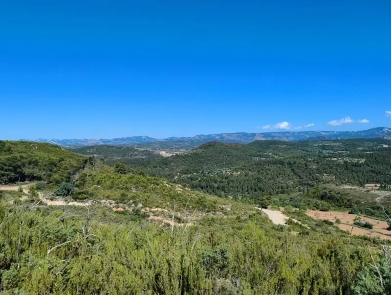 Venta Finca con Vistas en Valderrobres 22 Hectareas