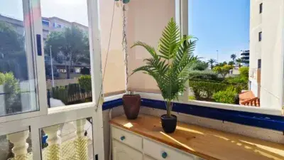 Apartamento Alquiler Playa Arenales del Sol Verano
