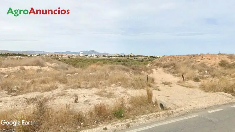 Venta  de Terreno de regadío en Alicante