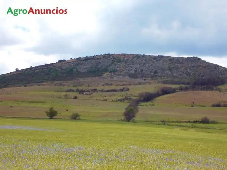 Venta  de Finca de recreo en Guadalajara