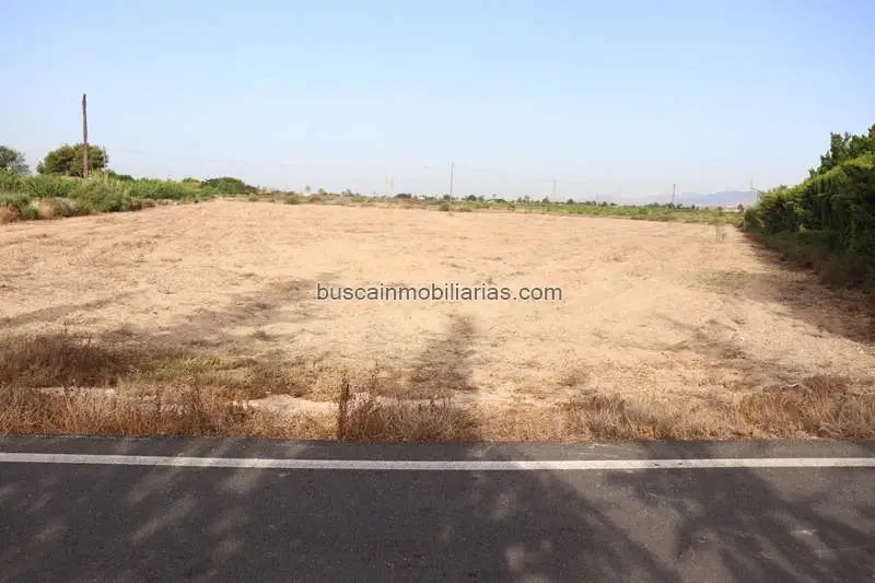 Parcela Rustica en Venta Elche Perleta Cerca de Playa Arenales del Sol