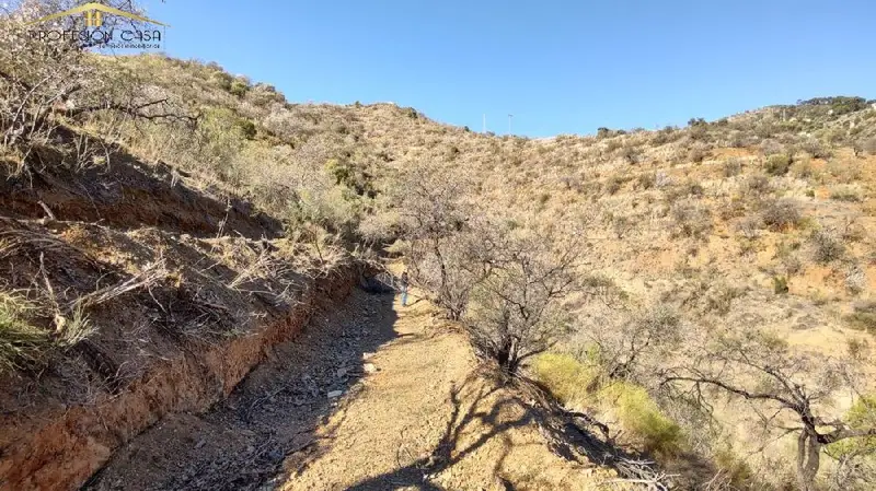Venta Parcela Rustica 5300m2 Almendros Mina Agua Malaga