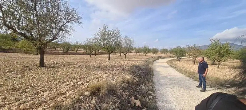 Terreno en Venta Pinoso Alicante
