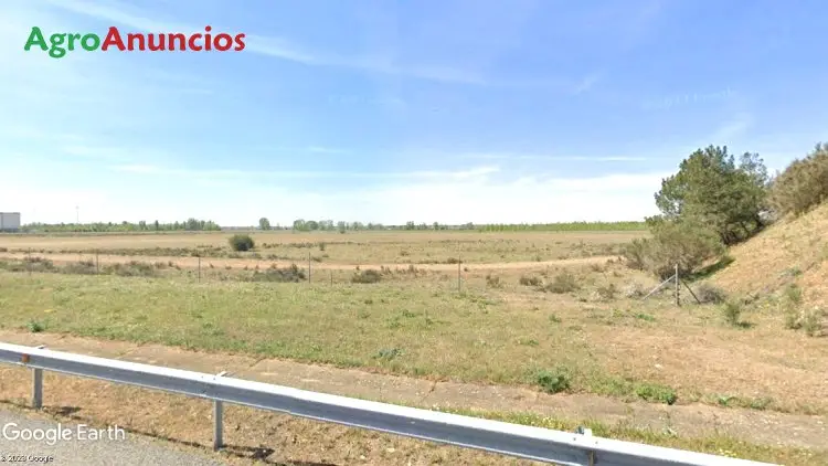 Venta  de Terreno de secano en León