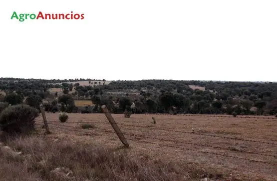 Venta  de Finca para ganadería extensiva en Salamanca