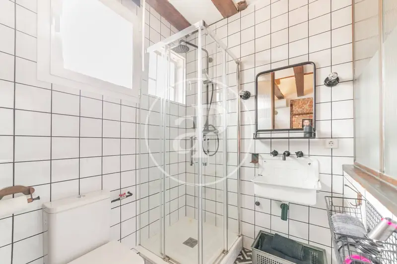 Atico en Alquiler Malasaña Madrid Centro 1 Dormitorio Amueblado