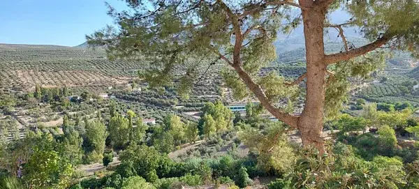 Casa con Vistas en Jaén - Necesita Reforma