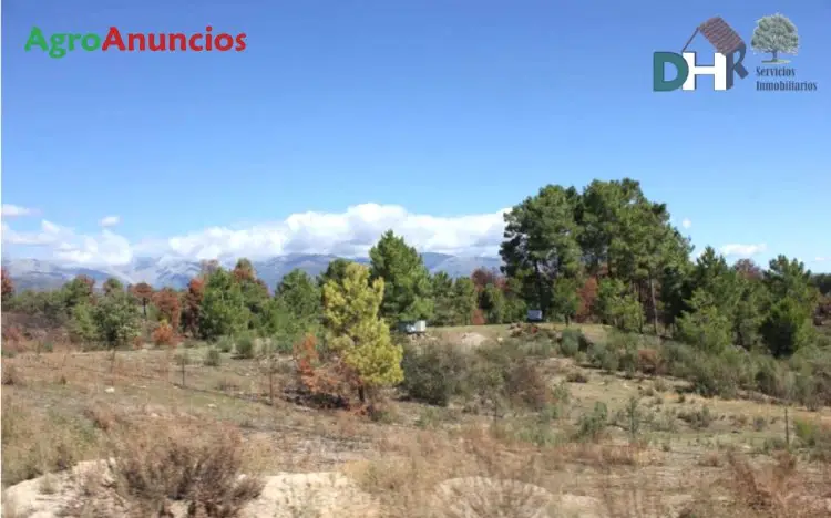 Venta  de Finca de recreo en Cáceres