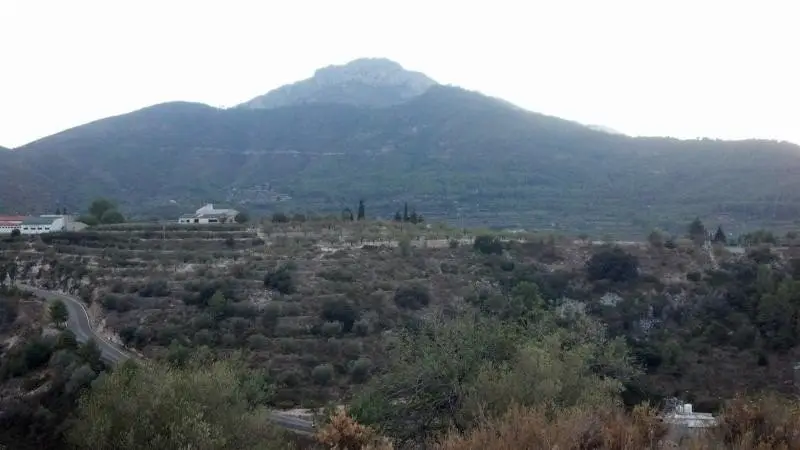 Terreno Rustico en Venta cerca de Gand	ía