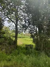 Venta Finca Rustica Quintes Villaviciosa Asturias