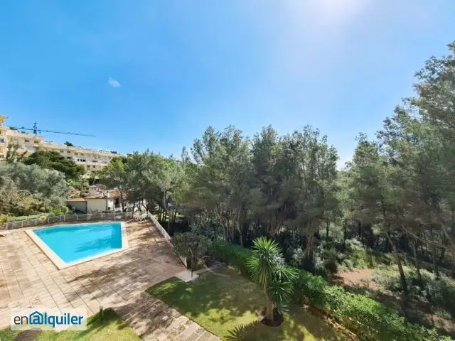 Alquiler Piso Piscina Cas Catalá 3 Dormitorios 2 Baños Parking