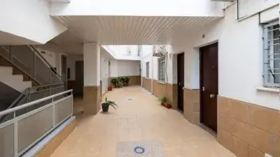 Piso Planta Baja Reformado en Albolote Junto Avda Reyes Catolicos