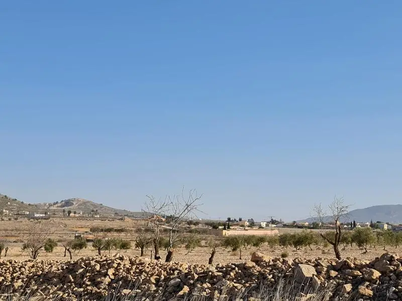 Parcela Edificable 7088m2 Jumilla Murcia