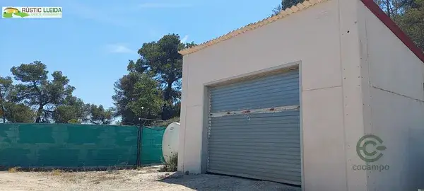 Finca de Olivos 111ha Santa Coloma de Queralt Conca Barbera