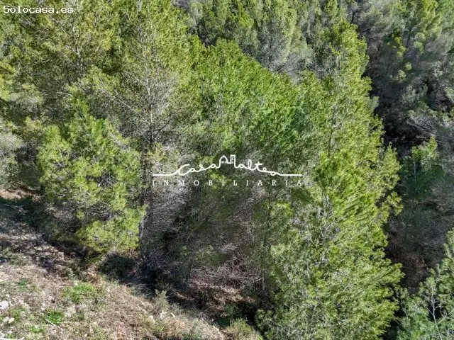 Parcela Urbanizable 818m2 Santa Clara Callosa dEn Sarria