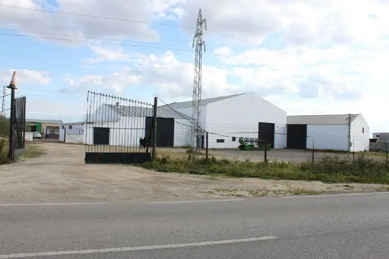 Venta Finca Rustica 10000m2 Utrera 5 Naves Alquiladas