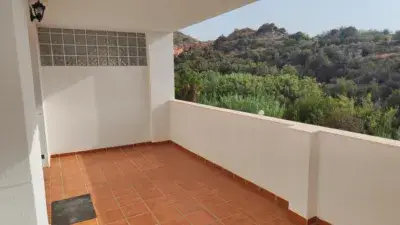 Piso en alquiler en Calle del Acebuche
