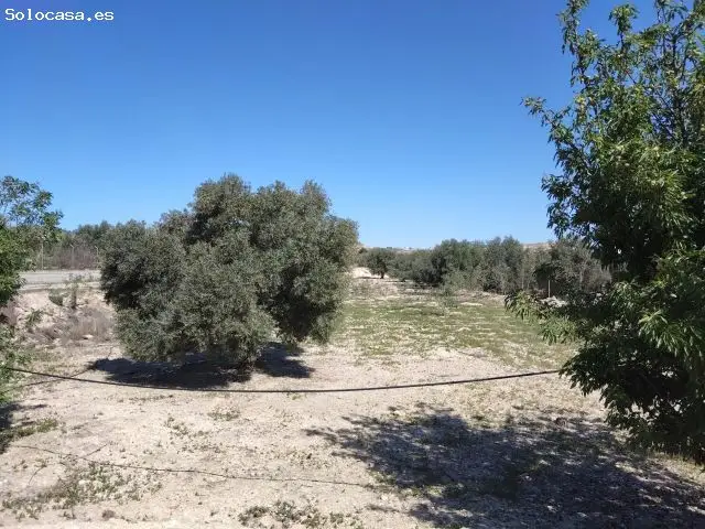 Casa para Reformar con Terreno 7000m2 Alcantarilla