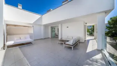 Atico en Venta Palmanova 3 Dormitorios 2 Banos 4 Terrazas