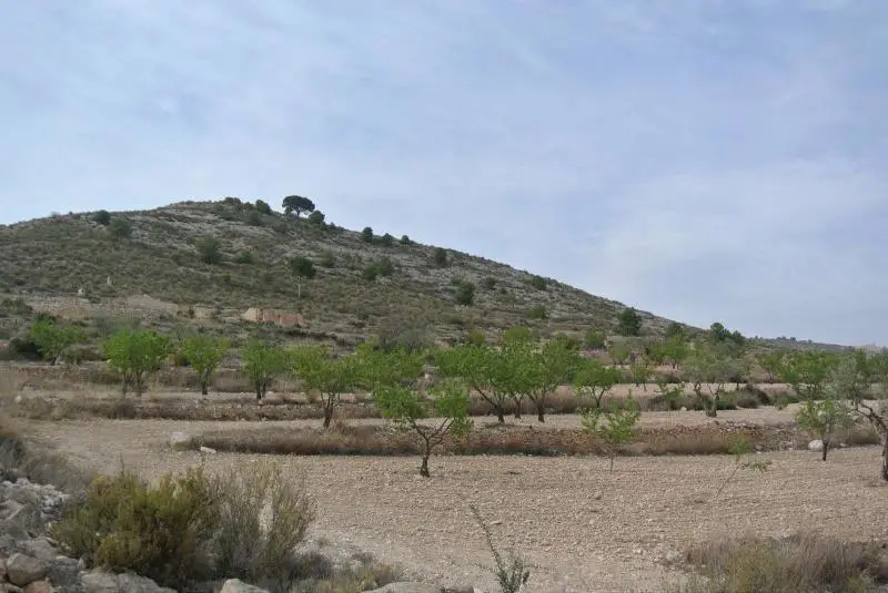 Terreno en Venta Jumilla Murcia con Vistas Panorámicas