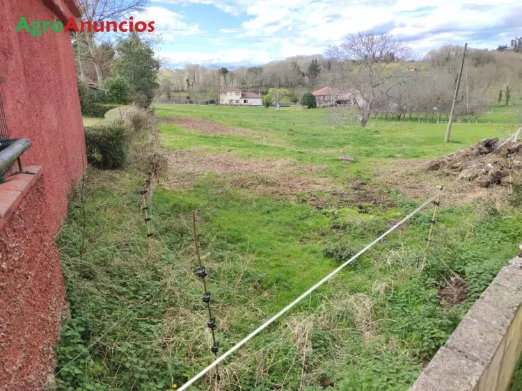 Venta  de Finca de recreo en Asturias