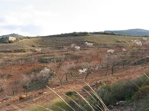 Fincas Rusticas en Albuñuelas Granada