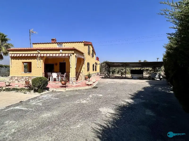 Venta Chalet con vistas en Matola Algoda, Elche - Ref: 469-469-V326