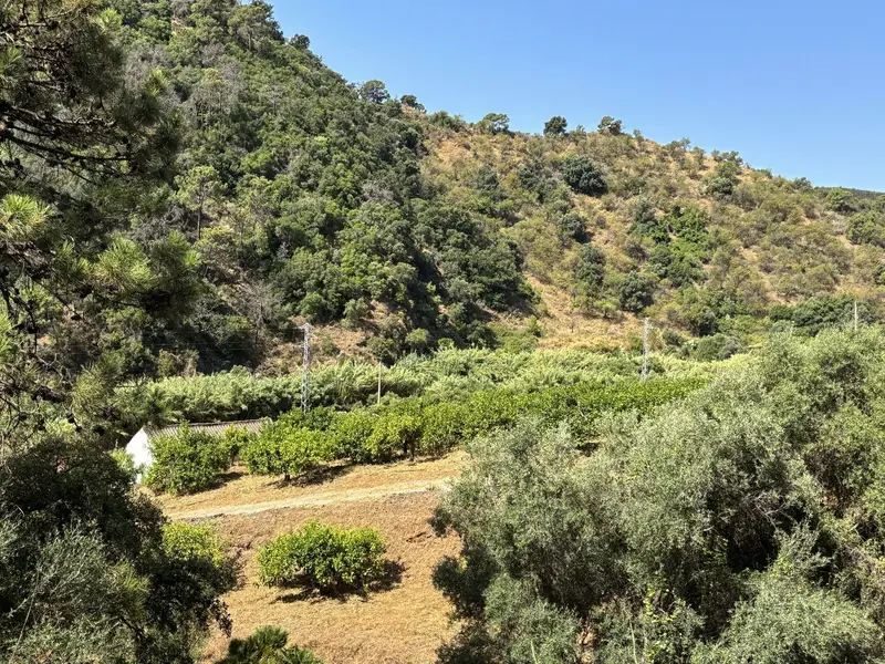 Granja Organica en Venta - Limoneros y Aguacates